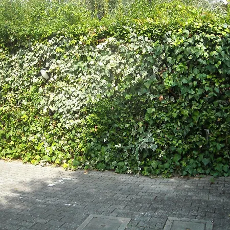 Ferienhaus Lungofrigido Ponente 6/d